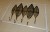DSCN3428.JPG
