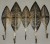 DSCN3432.JPG